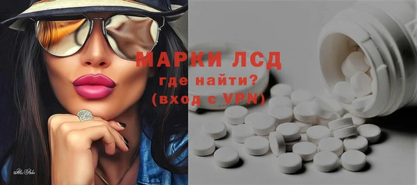 стафф Новодвинск