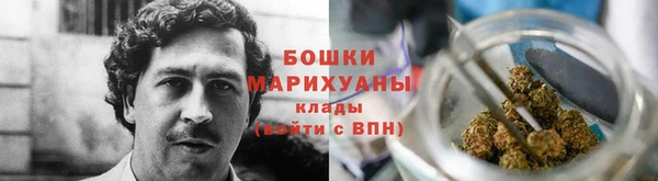 стафф Новодвинск
