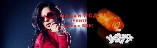 стафф Новодвинск