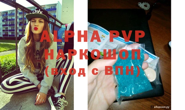 стафф Новодвинск