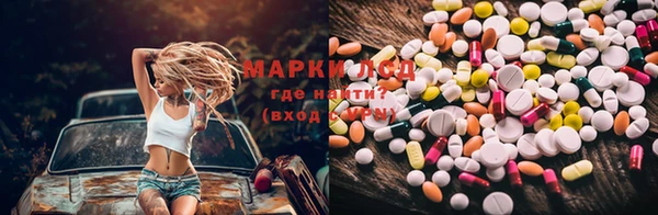 стафф Новодвинск