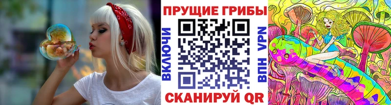 Псилоцибиновые грибы прущие грибы  Купить закладки  Амурск 